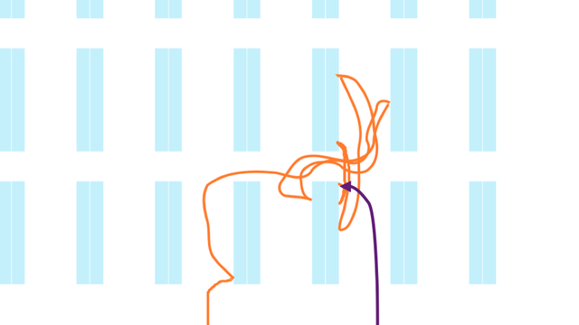 (a sketch of some library shelves with an orange path zigzagging drunkenly from aisle to aisle)